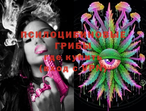 марки nbome Белокуриха