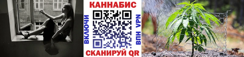 продажа наркотиков  Беломорск  ОМГ ОМГ как зайти  Марихуана конопля 